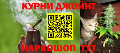 молекула духа Дубна