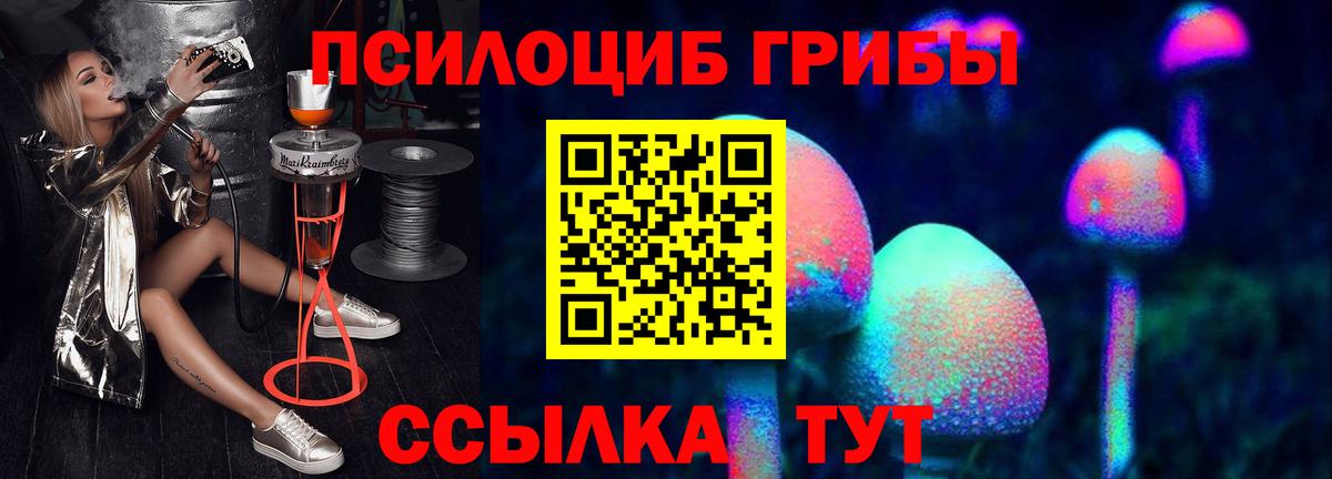 Псилоцибиновые грибы Psilocybine cubensis  Вход с VPN  Набережные Челны 
